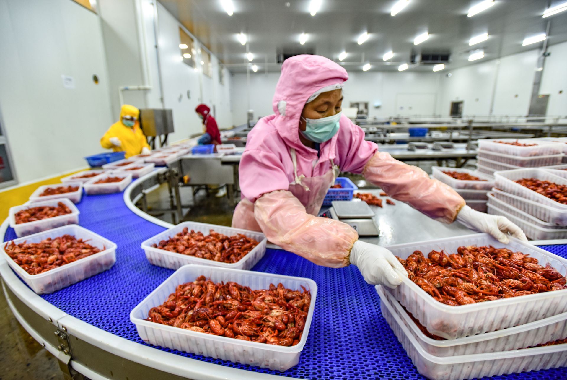 辽宁农业公司的现代农业发展动态