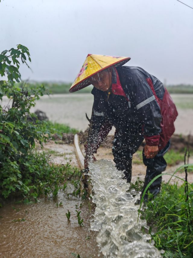 湖北监利柘木乡王曙林图片