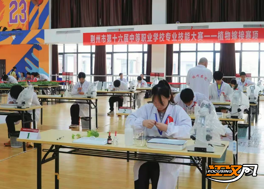 正在上传...