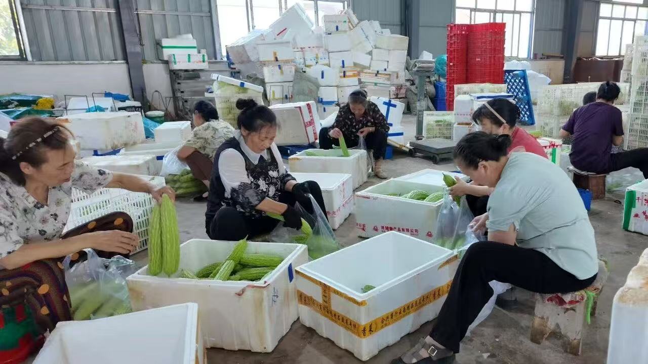 正在上传...