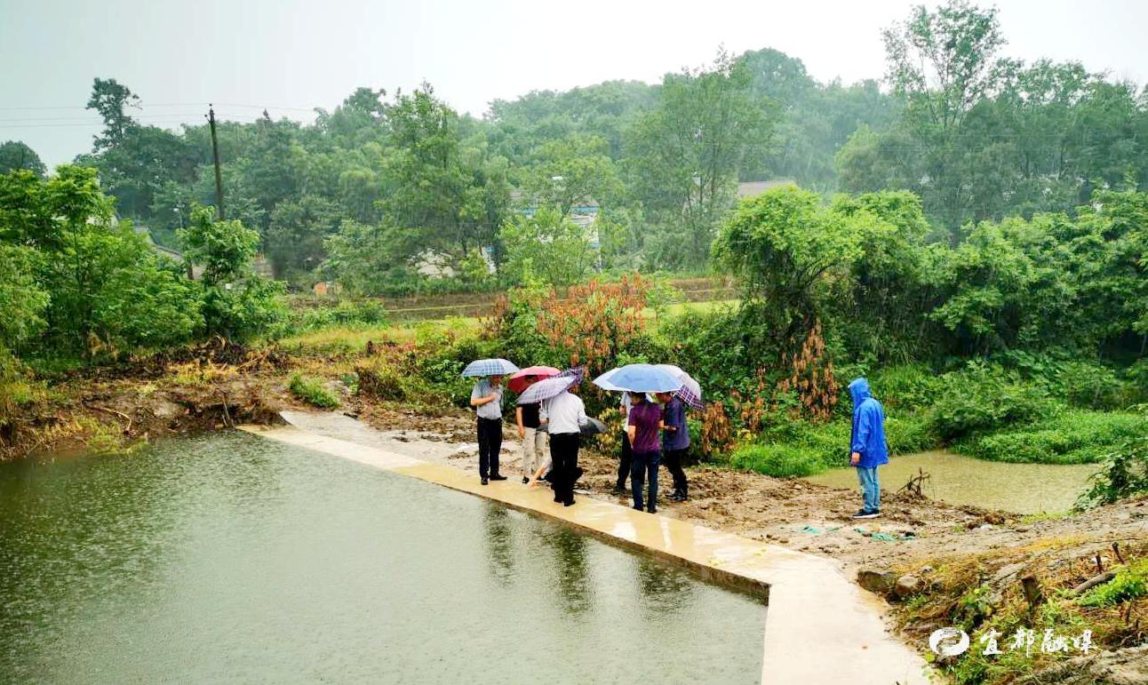 徐家湾村图片