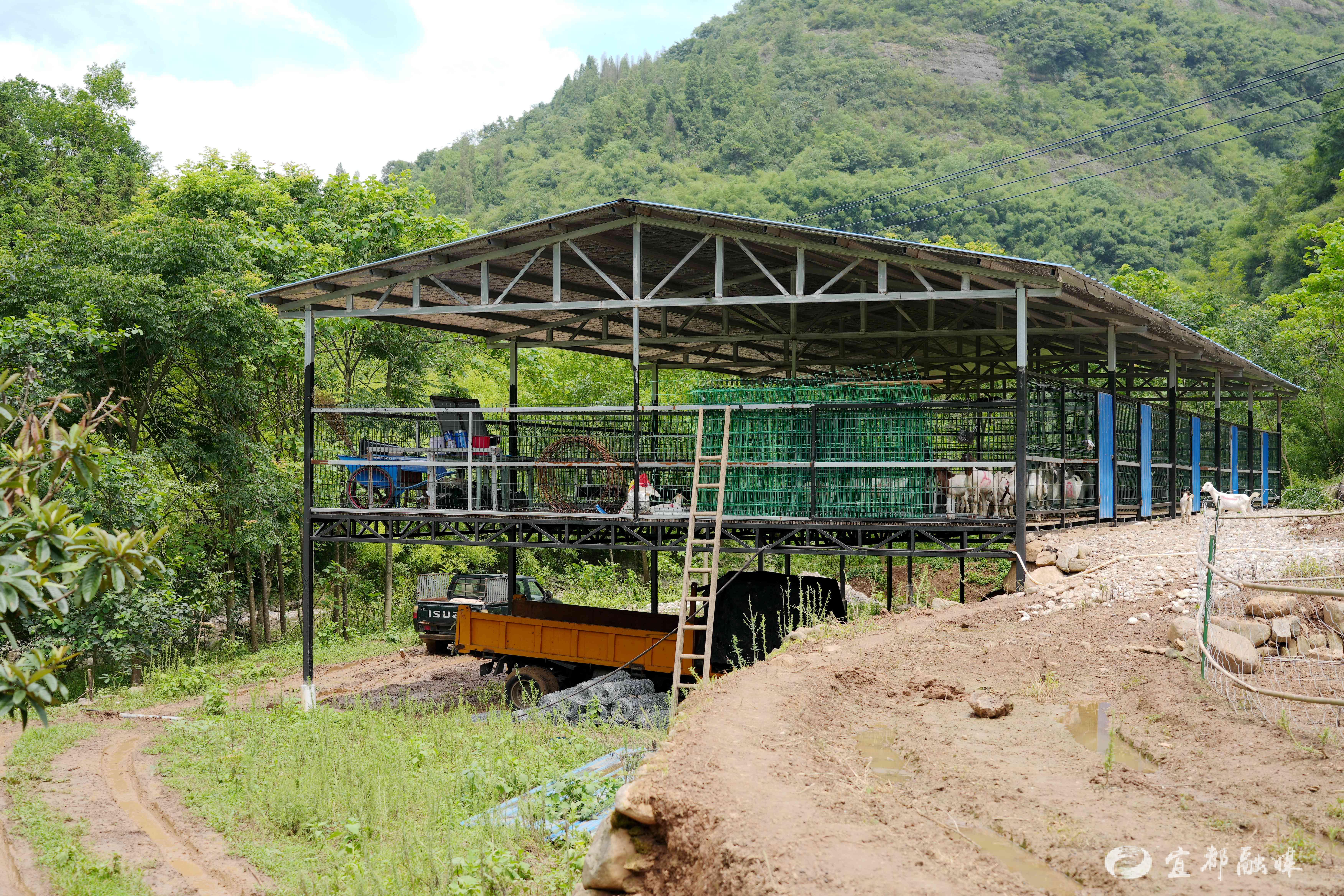 羊圈建设图片大全图片