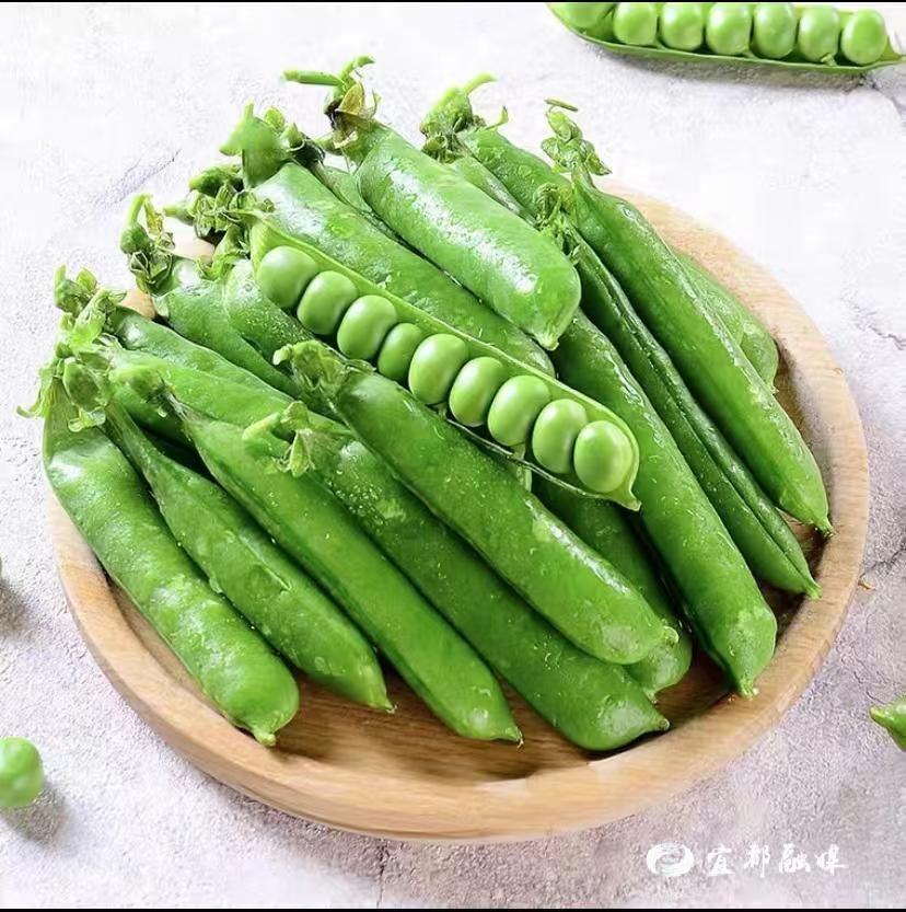正在上传...