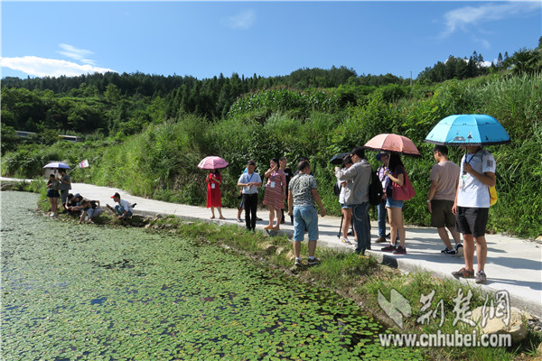 参观莼菜加工基地.jpg