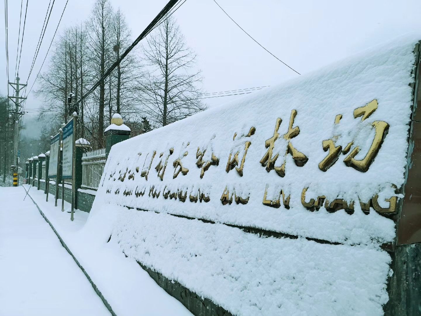 雪后初晴, 玉树琼枝, 掩映如画，长岭岗欢迎您!