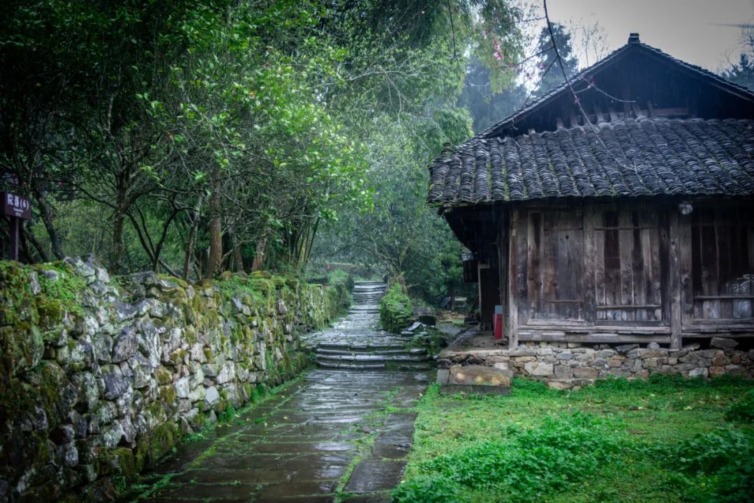 唐崖河畔,最美人间下雨天!