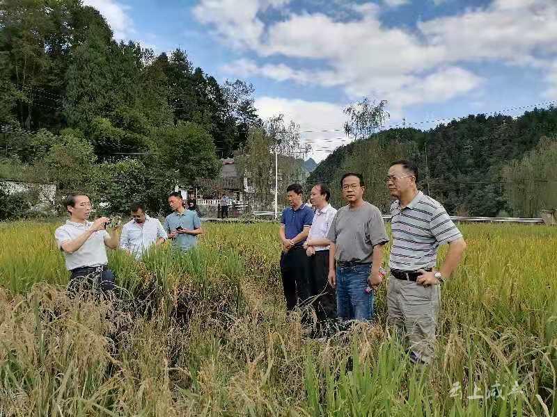 咸丰县代县长图片