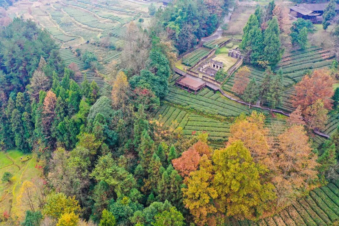 咸丰唐崖新颜惹人眼