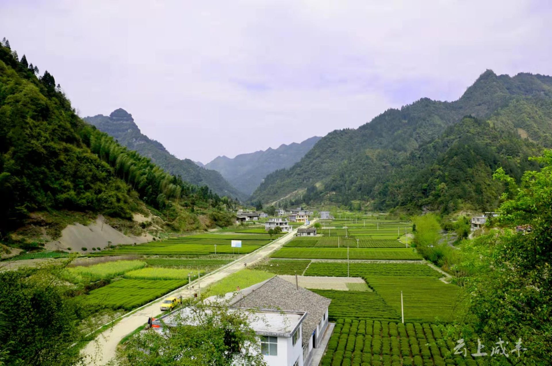 咸丰大村村:立足红色支点,勾勒美丽乡村新视角