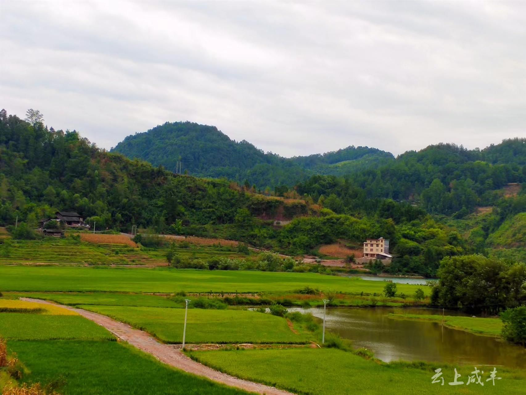 九月咸丰:田野 "丰"景如画