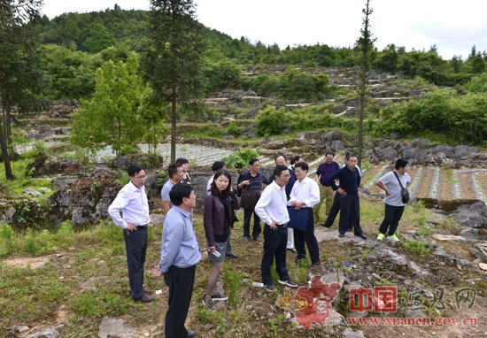 上下一心 通力合作 着力推进锣圈岩景区建设