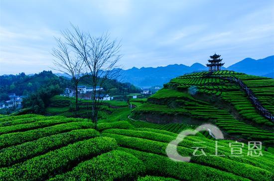 恩施州宣恩“十大”旅游景点，给你一个非去不可的理由