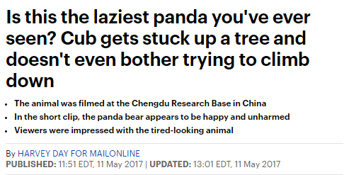 国际FUN|胖达天生是“网红”！这几只熊猫是外媒的心头好-新华网