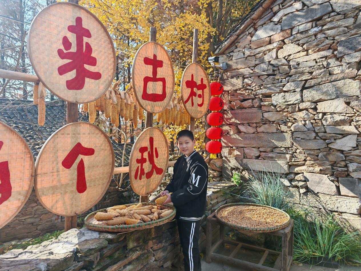 微信图片_20251201111344_407_5