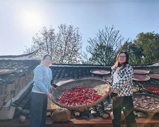 QQ图片20251201111516(50)