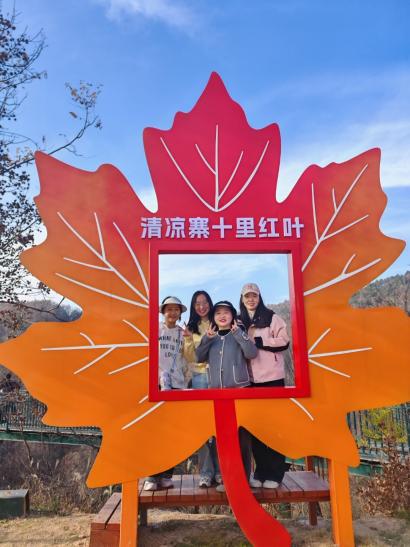 QQ图片20251201112638(163)