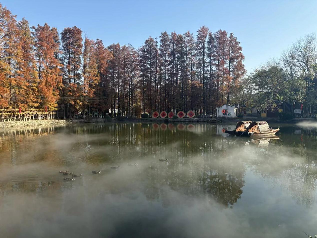 QQ图片20251201112431(132)