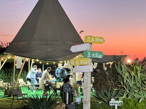 微信图片_20251201100337