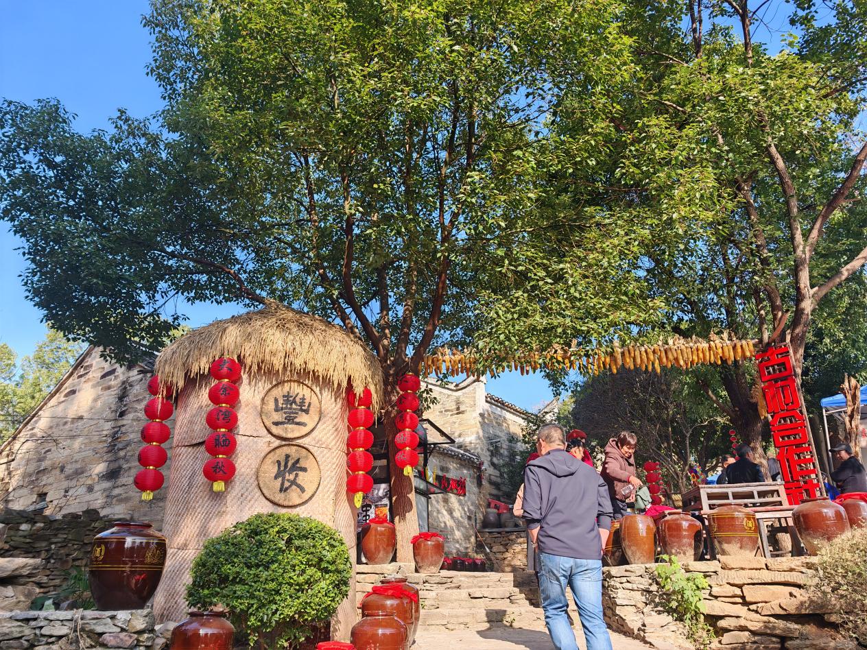 微信图片_20251201111353_411_5