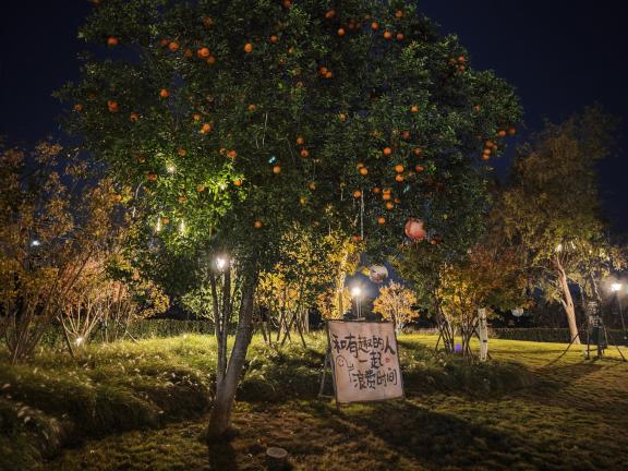 微信图片_20251201100455