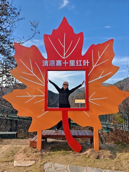 QQ图片20251201111744(77)