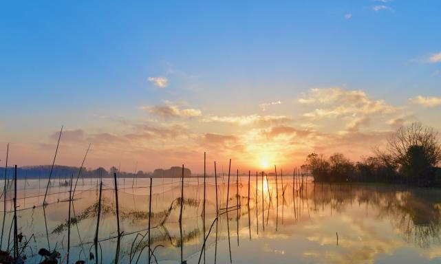 65504be3e37e4b9f21ee90657271d761