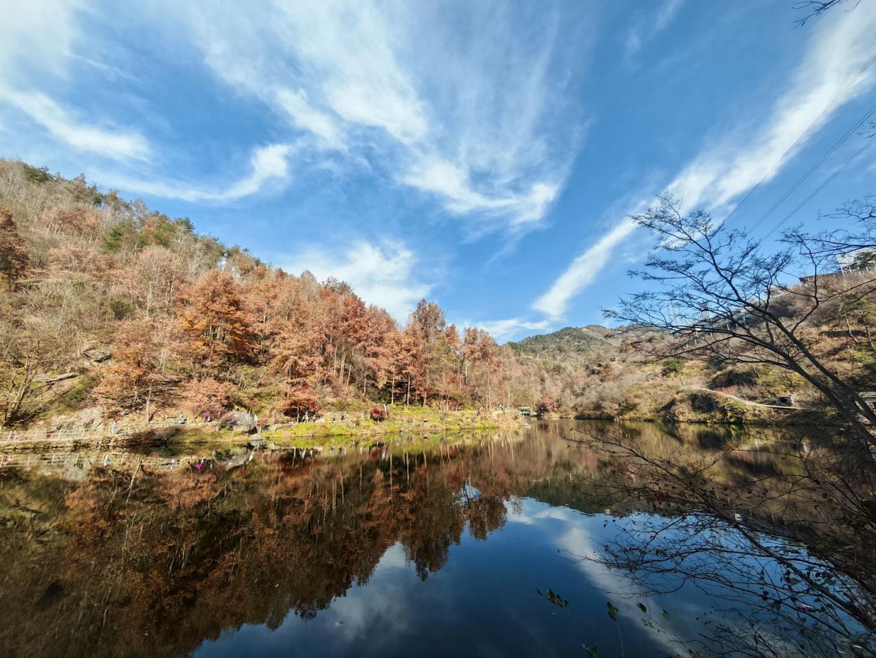 QQ图片20251201111744(65)