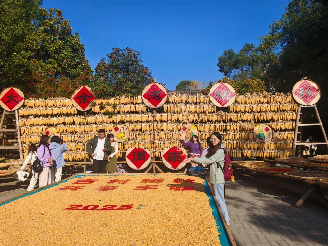 QQ图片20251201113214(257)