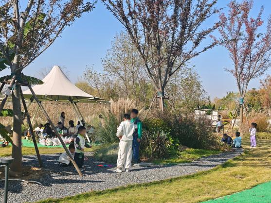 微信图片_20251201100432