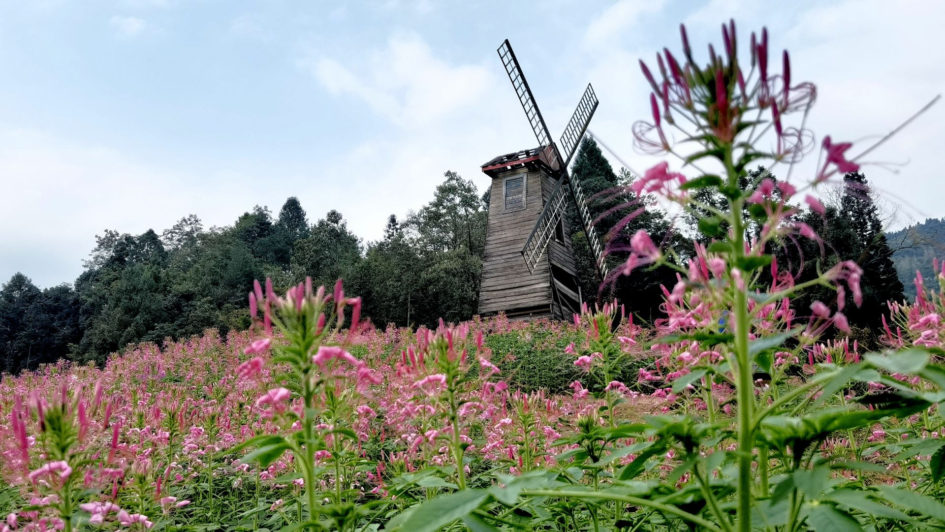 来凤县风景区图片