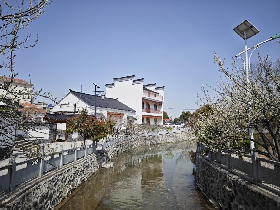 湖北大冶古村桃乡景区建设跑出加速度