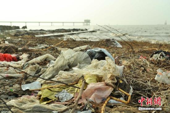 近日，上海崇明区东风西沙水库附近江面出现了大量来自外省市的生活垃圾。12月23日早间，<a target='_blank' href='http://www.chinanews.com/' >中新网</a>记者在上海崇明东风西沙水库岸边发现，这些垃圾正在被清理装袋，并伴有刺鼻气味。图为不远处的上海崇明东风西沙水质监测站附近堆积了来自外省市生活垃圾。张亨伟 摄