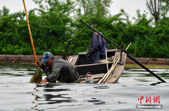 4月16日，雄安新区白洋淀，一位捕鱼人正在忙碌。
<a target='_blank' href='http://www.chinanews.com/'>中新社</a>记者 翟羽佳 摄