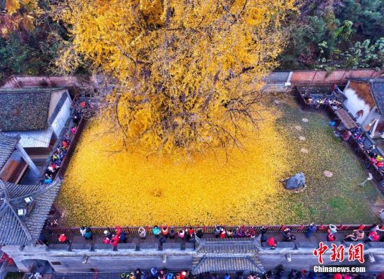 据悉，古观音禅寺始建于唐贞观年间(公元628年)，距今有1400年历史，为终南山千年古刹之一。 图片来源：视觉中国