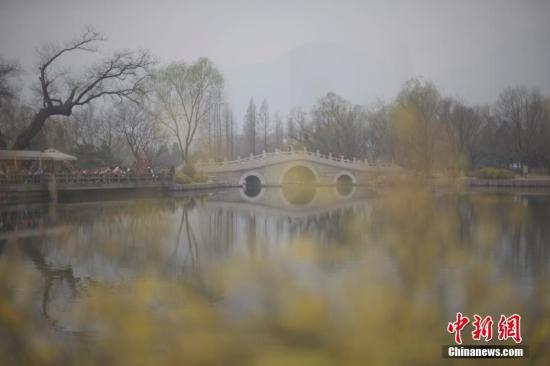 3月22日，北京遭遇雾霾天，空气质量达中度污染。图为市民在北京植物园赏春花。 <a target='_blank' href='http://www.chinanews.com/'>中新社</a>记者 刘关关 摄