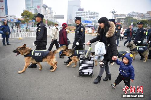 训导员带着爱犬在昆明火车站巡逻。<a target='_blank' href='http://www.chinanews.com/'>中新社</a>记者 刘冉阳 摄