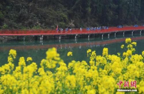 资料图：油菜花盛开的浙江省衢州市开化县钱江源乡村美景。<a target='_blank' href='http://www.chinanews.com/'>中新社</a>记者 毛建军 摄