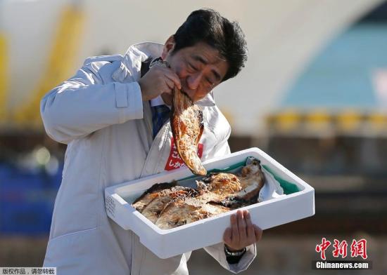 资料图：2014年12月2日，日本首相、自民党党首安倍晋三在日本福岛相马市参加一场活动，为众院选举拉票。为了讨好当地民众，安倍在活动现场品尝当地特色烤鱼，显示对农产品的支持。