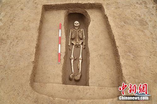 陕西高陵杨官寨遗址带二层台竖穴土坑墓M388。主办方供图