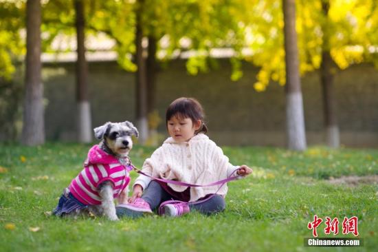 资料图：一位小女孩和她的宠物犬玩耍。<a target='_blank' href='http://www.chinanews.com/'>中新社</a>记者 贾天勇 摄