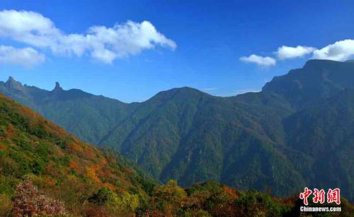 国家林业和草原局供图