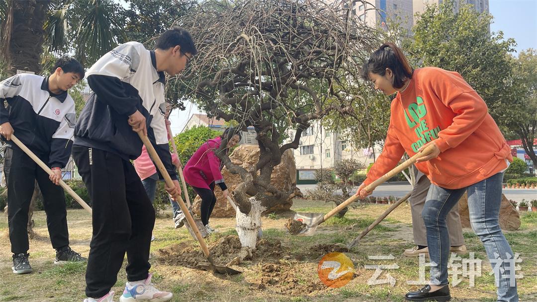 吹面不寒杨柳风教师护树美校园钟祥八中开展义务护树活动