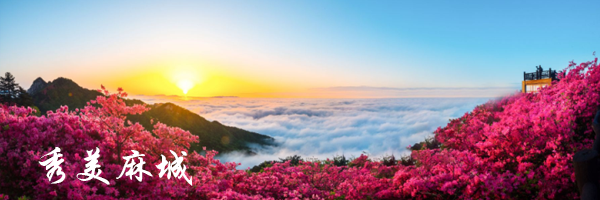 龟峰山杜鹃花海盛况大赏