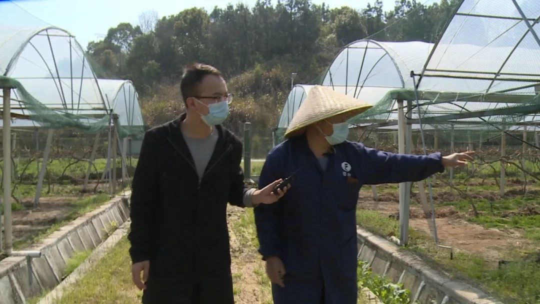 梅川镇现任镇委书记图片