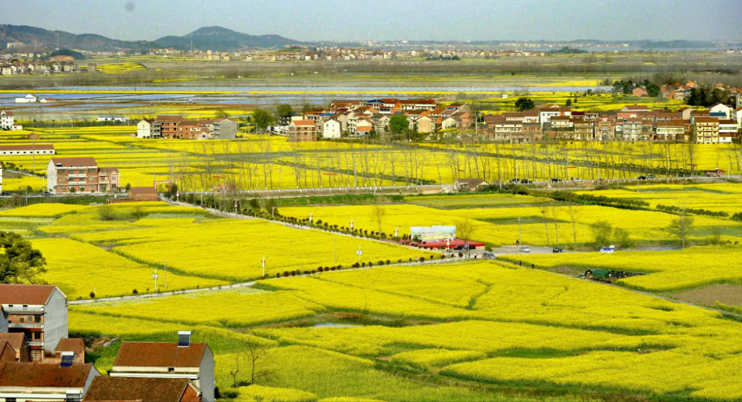 790a6fb3450dd41e530b577cdef8630.png 图片