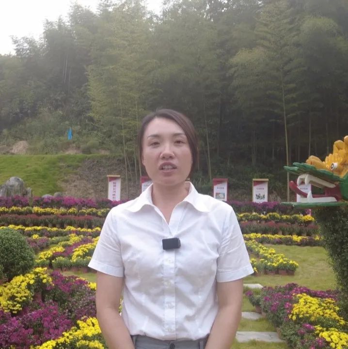undefined 图片