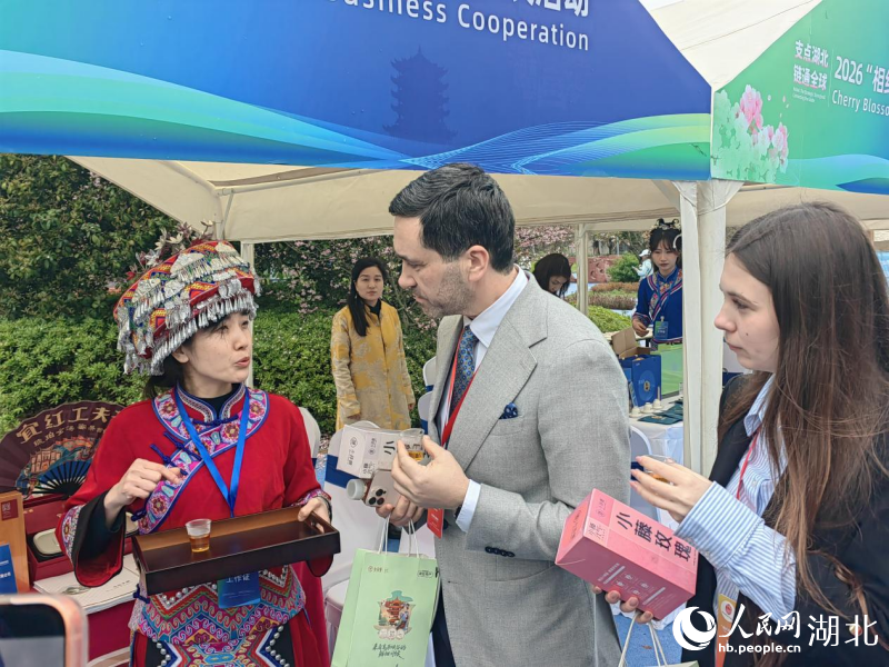 海外客商赴武汉共寻发展机遇。人民网记者 郭婷婷摄