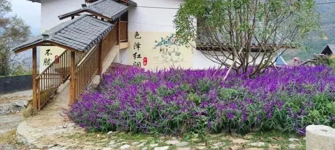 公共绿地.jpg 图片