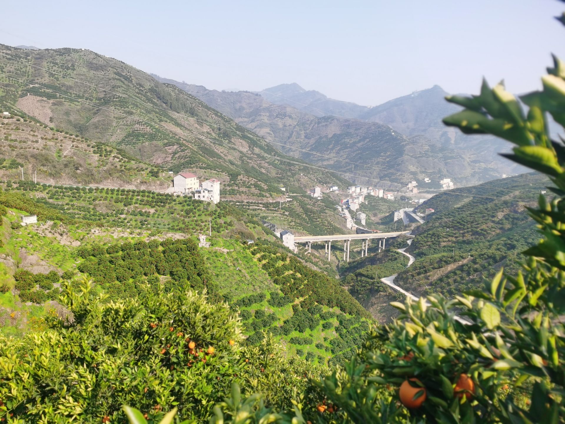 沂水县高庄镇王家岭村图片