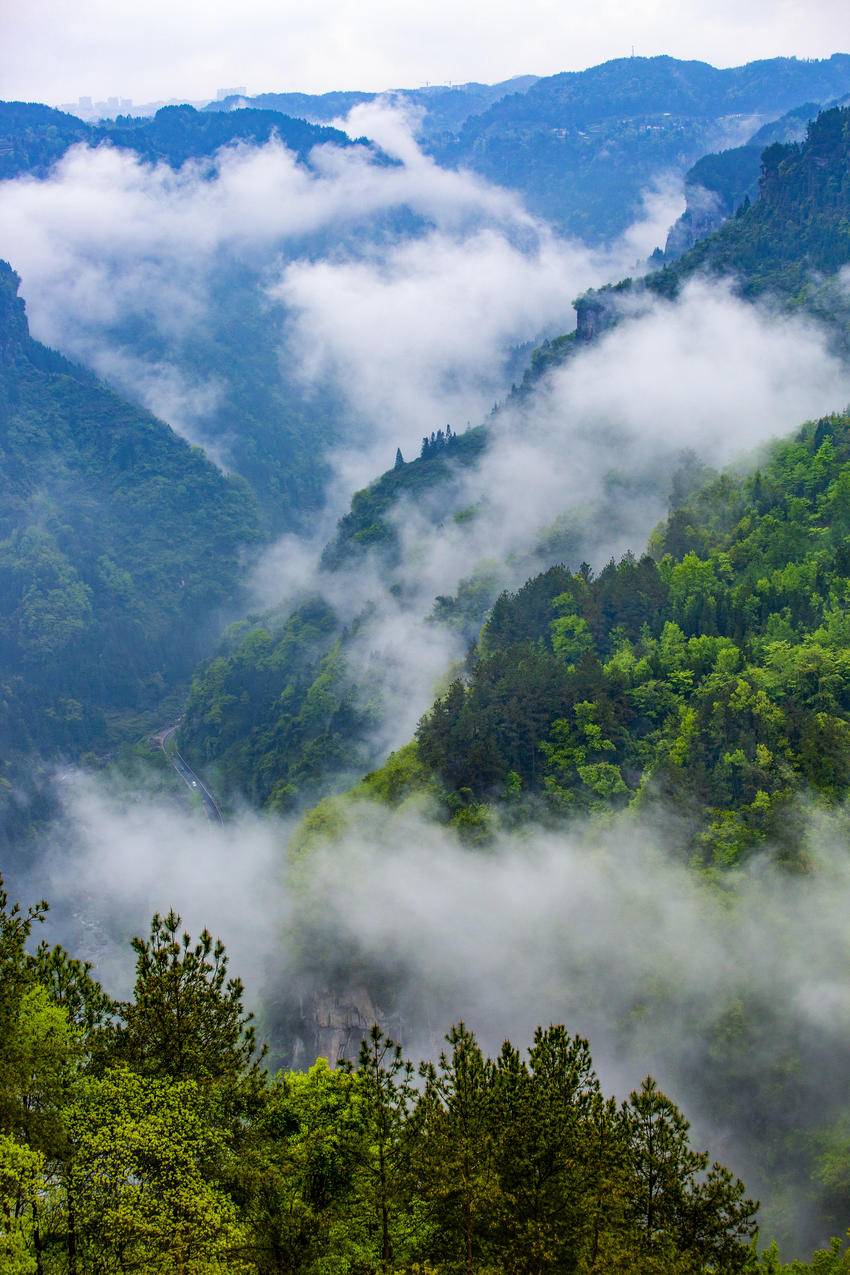 利川云雾山水图片